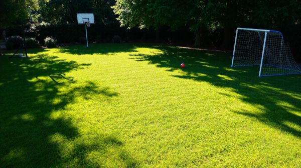 5 astuces pour créer un terrain de sport personnalisé chez soi